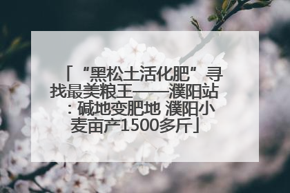 “黑松土活化肥”寻找最美粮王——濮阳站：碱地变肥地 濮阳小麦亩产1500多斤