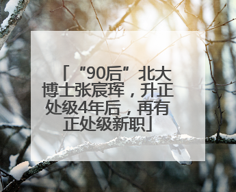 “90后”北大博士张宸珲，升正处级4年后，再有正处级新职