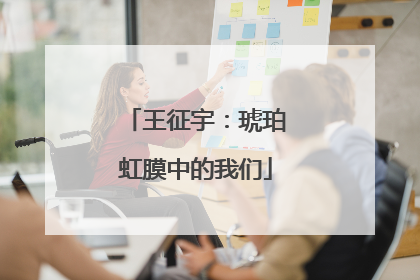 王征宇：琥珀虹膜中的我们