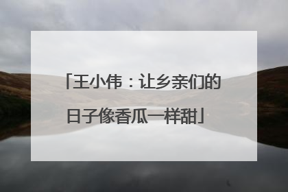 王小伟：让乡亲们的日子像香瓜一样甜