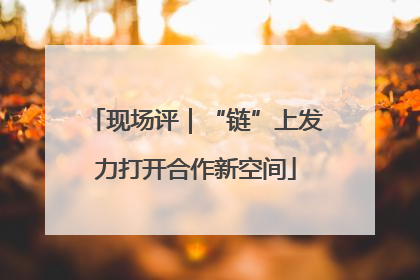 现场评｜“链”上发力打开合作新空间