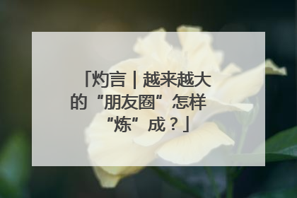 灼言｜越来越大的“朋友圈”怎样“炼”成？