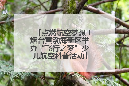 点燃航空梦想！烟台黄渤海新区举办“飞行之梦”少儿航空科普活动