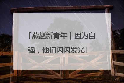 燕赵新青年｜因为自强，他们闪闪发光