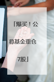 爆买！公募基金重仓7股