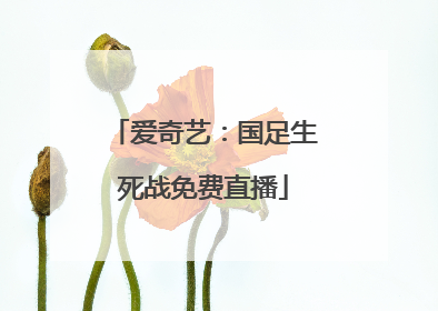 爱奇艺：国足生死战免费直播