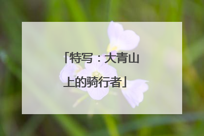 特写：大青山上的骑行者