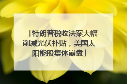 特朗普税收法案大幅削减光伏补贴，美国太阳能股集体崩盘