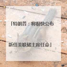 特朗普：将很快公布新任美联储主席任命