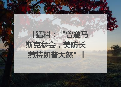 猛料：“曾邀马斯克参会，美防长惹特朗普大怒”