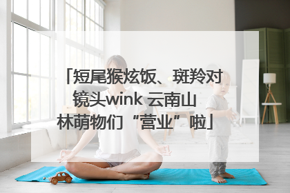 短尾猴炫饭、斑羚对镜头wink 云南山林萌物们“营业”啦