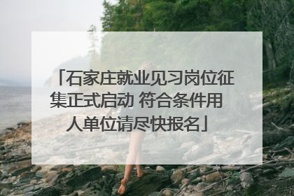 石家庄就业见习岗位征集正式启动 符合条件用人单位请尽快报名