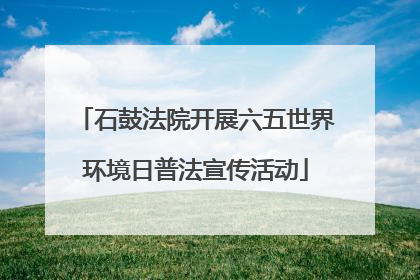 石鼓法院开展六五世界环境日普法宣传活动