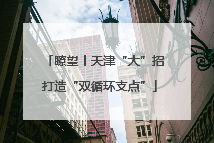 瞭望丨天津“大”招打造“双循环支点”