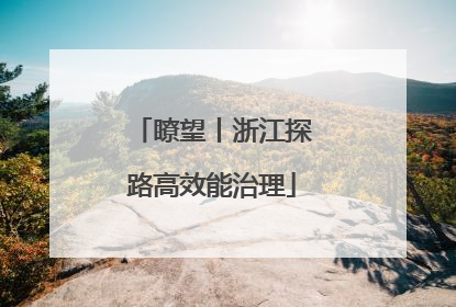 瞭望丨浙江探路高效能治理
