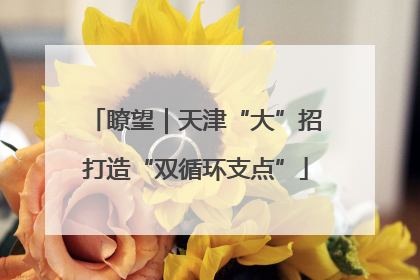 瞭望｜天津“大”招打造“双循环支点”