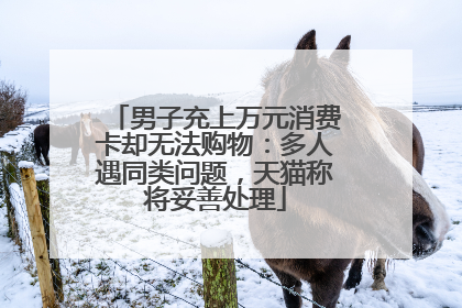 男子充上万元消费卡却无法购物:多人遇同类问题,天猫称将妥善处理