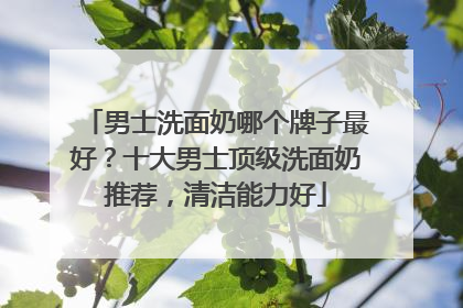 男士洗面奶哪个牌子最好？十大男士顶级洗面奶推荐，清洁能力好