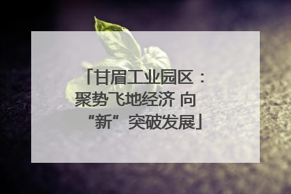 甘眉工业园区：聚势飞地经济 向“新”突破发展