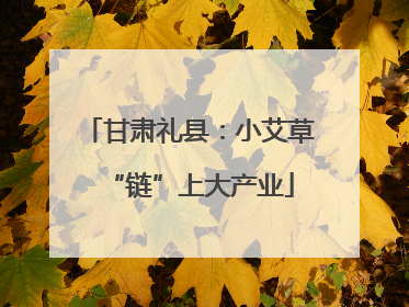 甘肃礼县：小艾草“链”上大产业