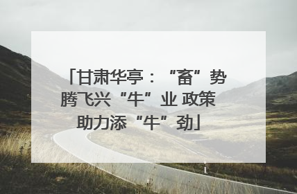甘肃华亭：“畜”势腾飞兴“牛”业 政策助力添“牛”劲