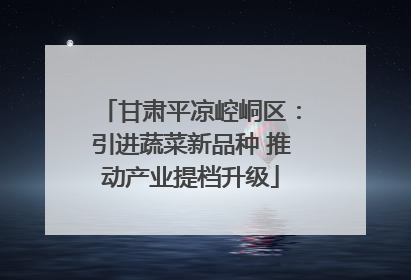 甘肃平凉崆峒区：引进蔬菜新品种 推动产业提档升级