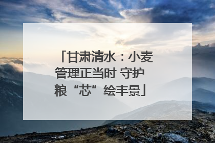 甘肃清水：小麦管理正当时 守护粮“芯”绘丰景