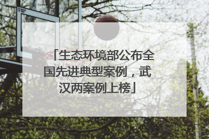 生态环境部公布全国先进典型案例，武汉两案例上榜