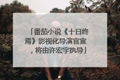 番茄小说《十日终焉》影视化导演官宣，将由许宏宇执导