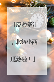 皮薄多汁，北务小西瓜熟啦！