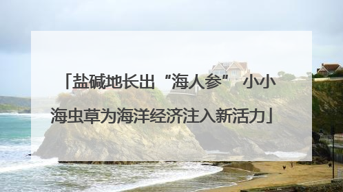 盐碱地长出“海人参” 小小海虫草为海洋经济注入新活力
