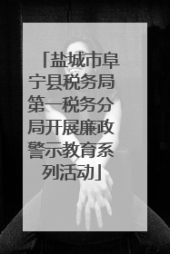 盐城市阜宁县税务局第一税务分局开展廉政警示教育系列活动