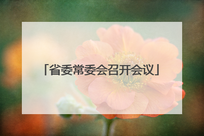 省委常委会召开会议