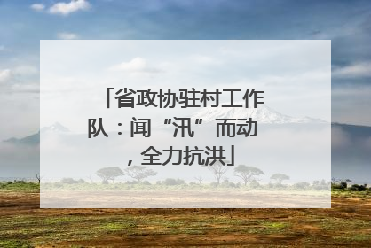 省政协驻村工作队：闻“汛”而动，全力抗洪
