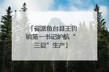 省派鱼台县王鲁镇第一书记护航“三夏”生产