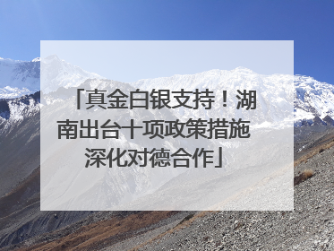 真金白银支持！湖南出台十项政策措施深化对德合作