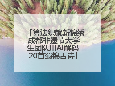算法织就新锦绣 成都非遗节大学生团队用AI解码20首蜀锦古诗
