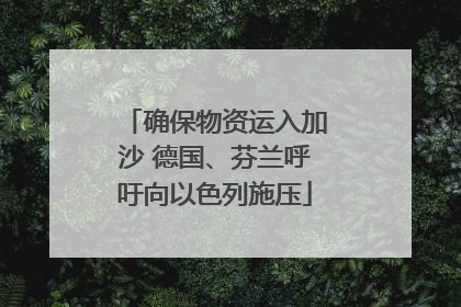 确保物资运入加沙 德国、芬兰呼吁向以色列施压