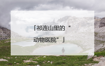 祁连山里的“动物医院”