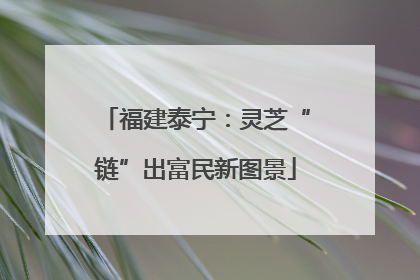 福建泰宁：灵芝“链”出富民新图景