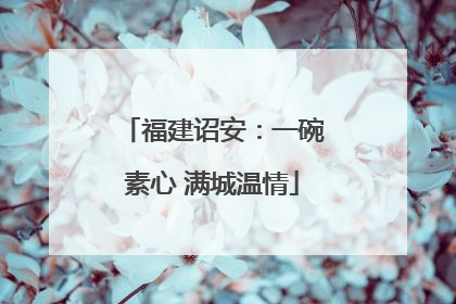 福建诏安：一碗素心 满城温情