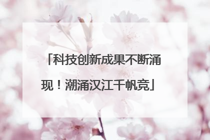 科技创新成果不断涌现！潮涌汉江千帆竞