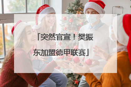 突然官宣！樊振东加盟德甲联赛
