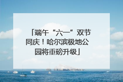 端午“六一”双节同庆！哈尔滨极地公园将重磅升级