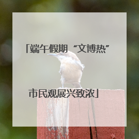 端午假期“文博热” 市民观展兴致浓
