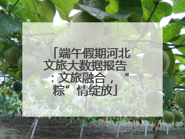 端午假期河北文旅大数据报告：文旅融合，“粽”情绽放