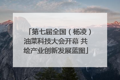 第七届全国（杨凌）油菜科技大会开幕 共绘产业创新发展蓝图