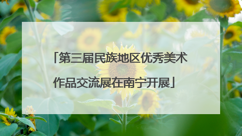 第三届民族地区优秀美术作品交流展在南宁开展