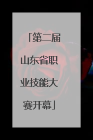 第二届山东省职业技能大赛开幕