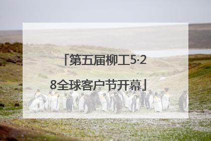 第五届柳工5·28全球客户节开幕